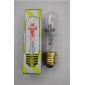 Wholesale Jesus rally cross bulb jump to bubble flame bulbs decorative light bulbs 110/220V 3W E27 T30 T28 LED077