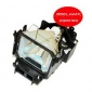 Wholesale Popular!666LAMP SONY projector VPL-PX40 with lighthouse lamp LMP-P260 T061